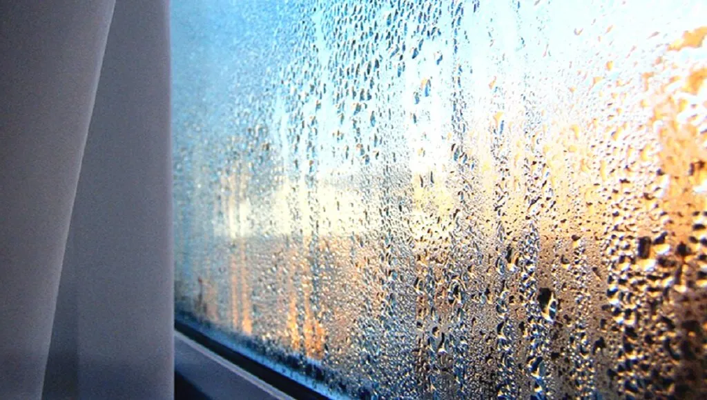 Understanding Window and Door Condensation